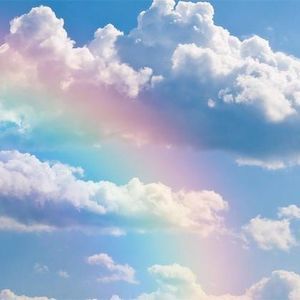 Meet your Posher, Tamara